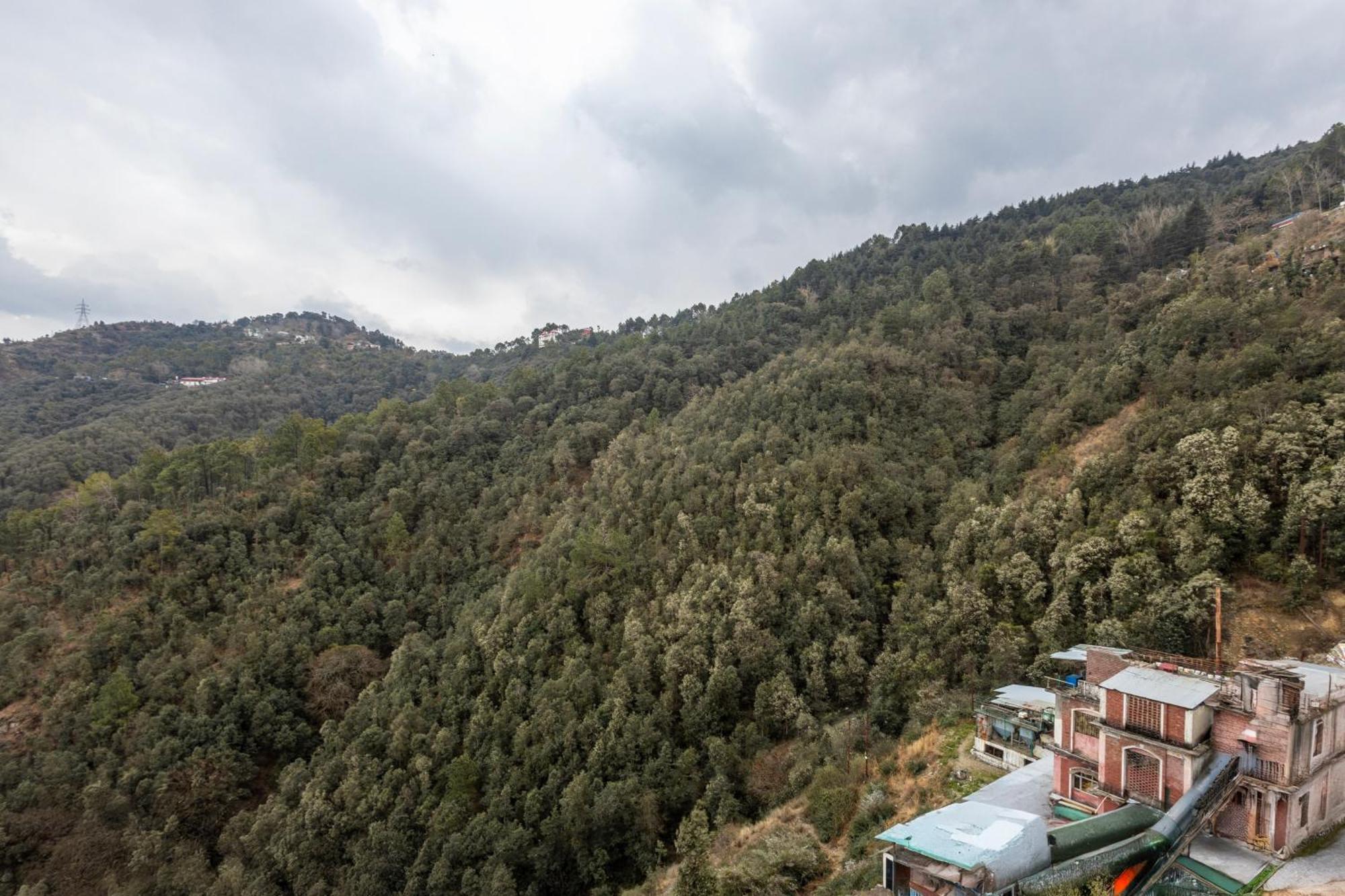 Treebo Lords Garden Glory With Valley View & Centralized Heating Shimla Dış mekan fotoğraf